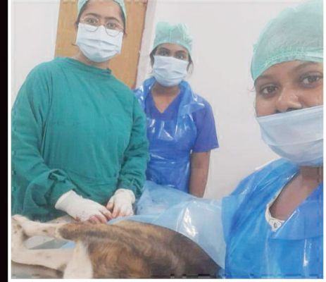  नि:शुल्क एंटी-रेबीज टीकाकरण पखवाड़ा