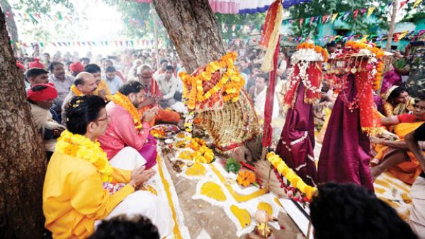 बस्तर दशहरा : बेल पूजा में सरगीपाल गांव में उत्साह, कमलचंद भंजदेव हुए शामिल