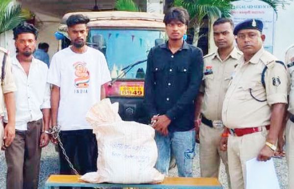  गांजा तस्करी, ओडिशा के 3 आरोपी गिरफ्तार