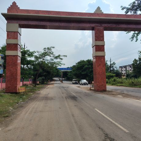 कारली में बना आकर्षक स्वागत द्वार