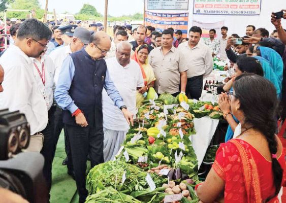 राज्यपाल ने पहाड़ी कोरवा गांव में विभागों के स्टॉलों का किया निरीक्षण