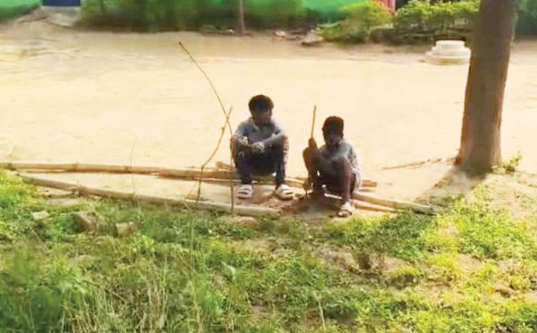  प्राथमिक स्कूल के बच्चों से काम कराने का आरोप