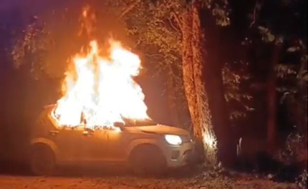 पेड़ से टकराई कार, पलभर में धधक उठी आग,  दो युवक बाल-बाल बचे