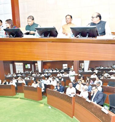 तेंदूपत्ता का भुगतान अब 7 से 15 दिन में, एसएमएस भी