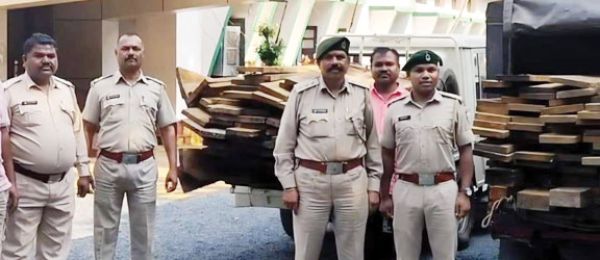 अवैध इमारती लकड़ी जब्त, एक आरोपी गिरफ्तार