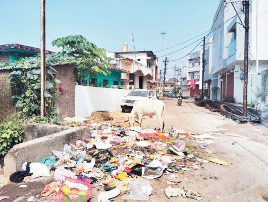 कुरुद के वीआईपी वार्ड में लगा कचरे का ढेर