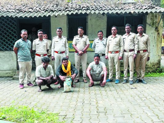 तमनार वन परिक्षेत्र में हाथी की  मौत, तीन आरोपी गिरफ्तार