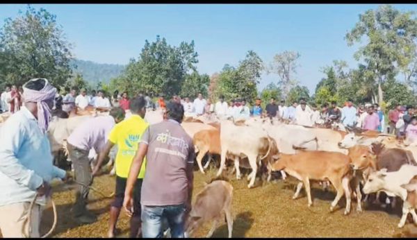 गोवर्धन पूजा पर कार्यक्रम