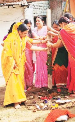 तिलक कर भाइयों की दीर्घायु की कामना