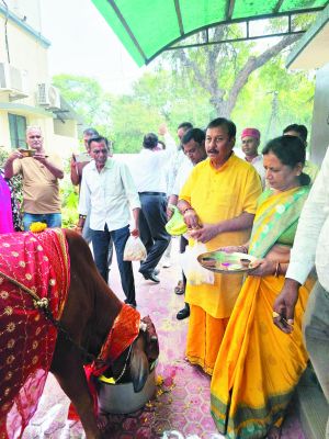 सांसद विजय बघेल ने गौमाता की पूजा कर खिलाई खिचड़ी