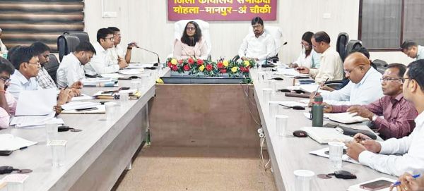 राज्योत्सव : कलेक्टर ने सौंपा दायित्व