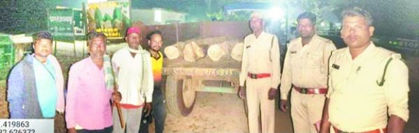 सागौन लकड़ी का अवैध परिवहन, आरोपी गिरफ्तार