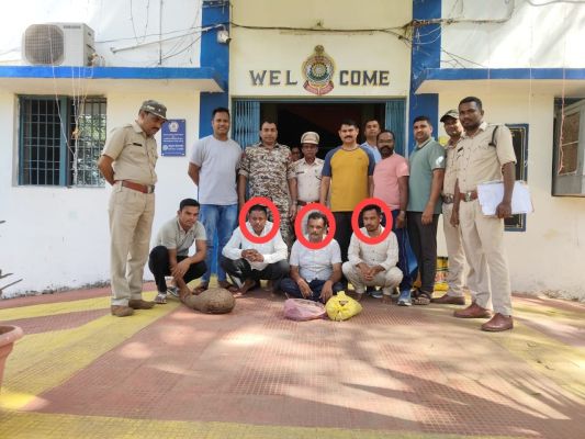 वन्यजीव तस्करी का भंडाफोड़, तीन आरोपी  गिरफ्तार, जीवित पैंगोलिन और छाल बरामद