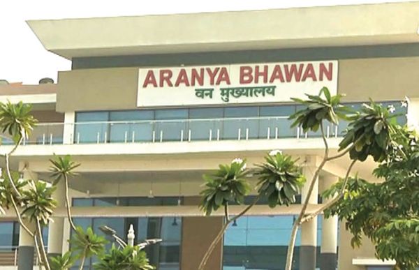 आईएफएस के एक पद के लिए 3 को पहली डीपीसी दिल्ली में