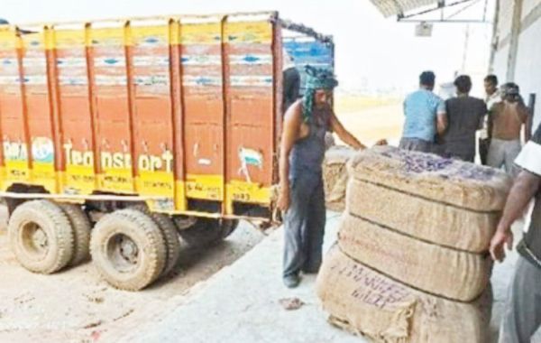 इस बार 145 धान केंद्रों में होगी खरीदी, पोर्टल में पंजीयन अनिवार्य