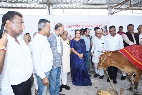 महापौर मीनल चौबे ने गोपाष्टमी पर महाबीर गौशाला में की गौ सेवा