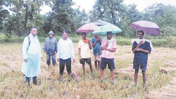 फसल क्षति आंकलन पर प्रकरण तैयार