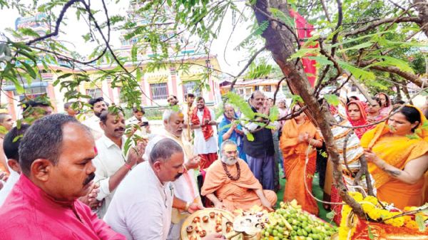 आंवले के पूजन से अश्वमेध यज्ञ का पुण्य - स्वामी इन्दुभवानन्द