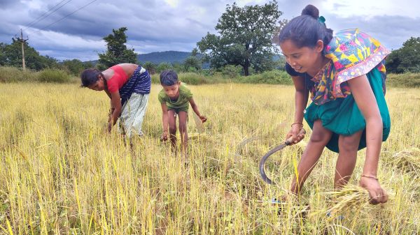 खून में है मेहनत का जज्बा