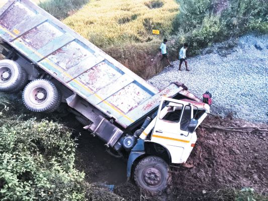 हाईवा की ठोकर से 8 मवेशी की मौत, चालक फरार, तलाश जारी