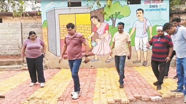 निगम भिलाई क्षेत्र के उद्यानों को संवारने का कार्य जारी