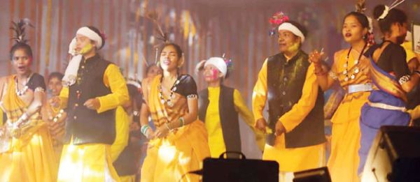    जिला स्तरीय राज्योत्सव समारोह का शुभारंभ