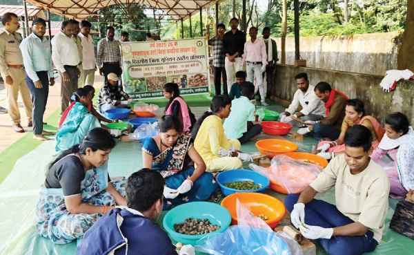 हर्रा-बहेड़ा कचरिया संग्रहण के लिए प्रशिक्षण