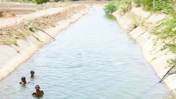  नहर निर्माण से सिंचित क्षेत्र में 22 फीसदी की वृद्धि, 62147 एकड़ अतिरिक्त क्षेत्र में सिंचाई सम्भव