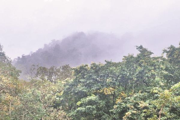 सर्दीली हवाओं से दिन-रात का पारा गिरा