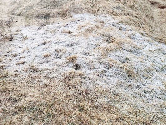 अंबिकापुर में न्यूनतम तापमान 8 डिग्री से नीचे