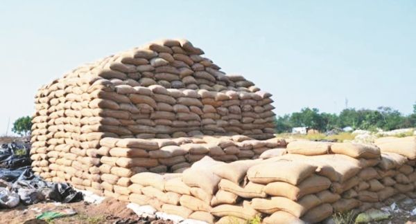 कर्मचारी हड़ताल पर, 15 से होनी है धान खरीदी, शाम तक फैसला