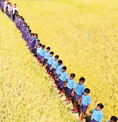 खेती और शिक्षा का अनोखा संगम, जहां लहलहाती फसल बच्चों की मुस्कान बनती है...