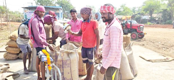 आज से धान खरीदी शुरू, कई सोसायटियों में सफाई नहीं, समिति प्रबंधकों के हड़ताल से निपटने प्रशासन ने की ऑपरेटरों की भर्ती