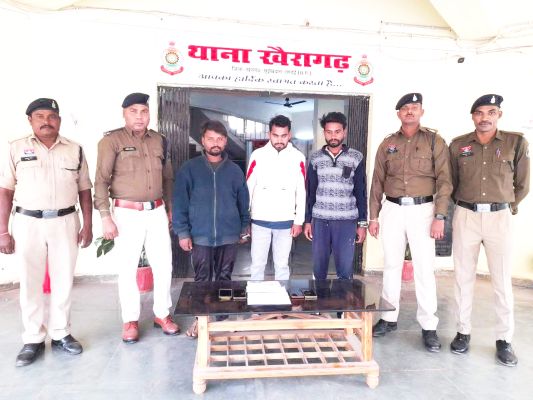 तीन म्युल खाताधारक गिरफ्तार