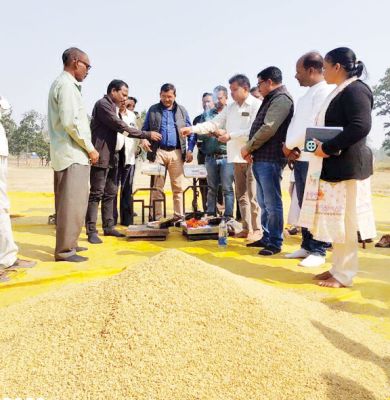 भवरमाल में धान खरीदी का शुभारंभ, किसानों में उत्साह