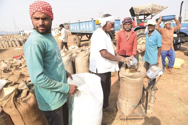 6,897.16 टन धान की खरीदी