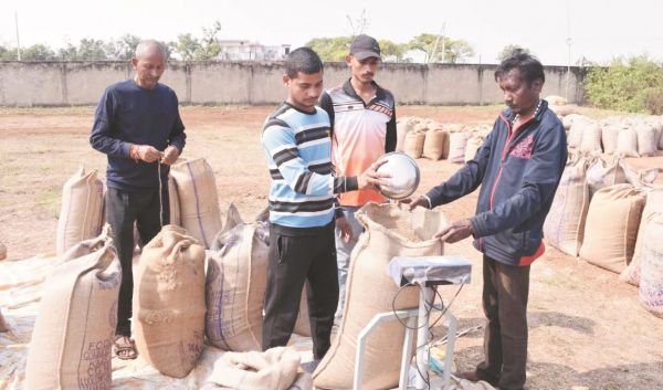 जिले में अब तक 6372 किसानों से 73.57 करोड़ की धान खरीदी