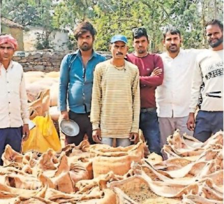 फसल नुकसान के बाद भी धान की बंपर आवक से प्रशासन चौकन्ना, सत्यापन के बाद ही होगी खरीदी