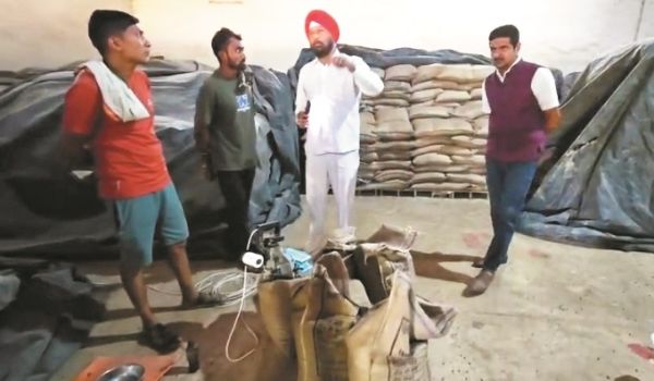 घटिया, घुना कीड़े लगे चना बीज बोरे में पैकिंग