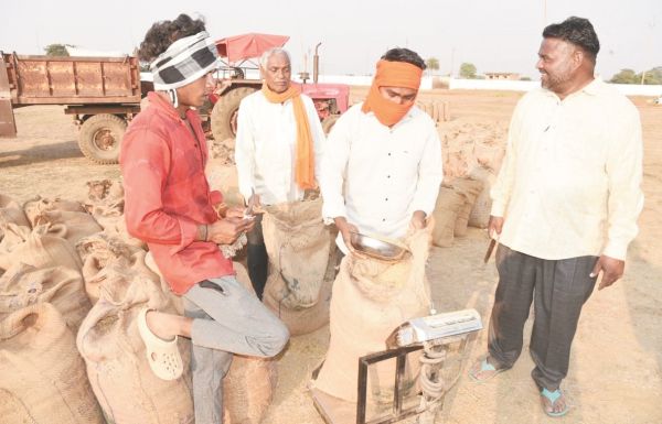 जिले में अब तक साढ़े तीन लाख क्विंटल धान खरीदी