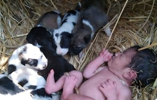 जब इंसान ने शर्मसार किया और बेजुबान ने इंसानियत दिखाई थी..