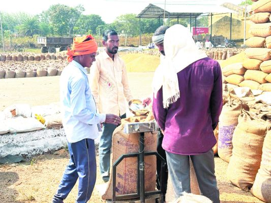 साढ़े 51 हजार टन   से अधिक धान  की खरीदी