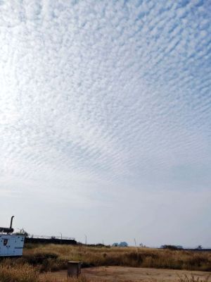 शीतलहर की चपेट में सरगुजा, अंबिकापुर में 6 डिग्री एवं मैनपाट में 4 डिग्री पर पहुंचा पारा