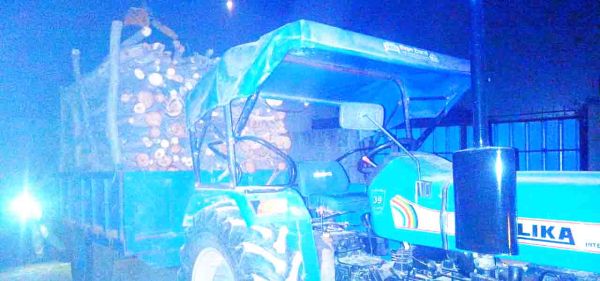 लकड़ी के अवैध परिवहन में दो वाहन जब्त