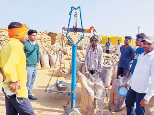 एग्रीस्टैक पोर्टल में रकबा त्रुटि से प्रभावित हुई धान खरीदी, किसान पंजीयन व टोकन के लिए परेशान