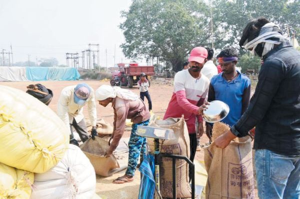 अब तक साढ़े 19 हजार किसानों से 238 करोड़ की धान खरीदी