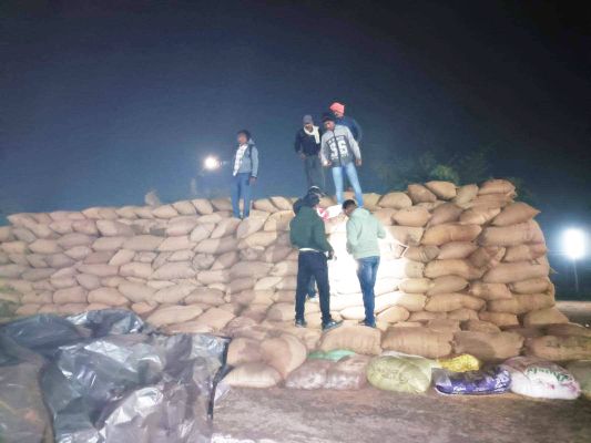 घुमका सोसायटी के केंद्र में मिला 1294 कट्टा अवैध धान