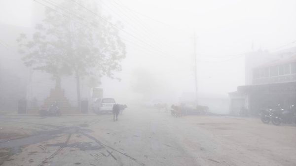 अंचल ने ओढ़ी घने कोहरे  की चादर, दृश्यता घटी