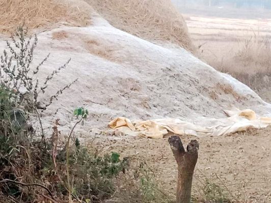 सरगुजा संभाग के पाट क्षेत्रों में पाला, अंबिकापुर में न्यूनतम तापमान 4.6 डिग्री