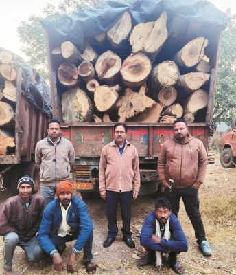 प्रतिबंधित काष्ठों का अवैध परिवहन पकड़ाया, जब्ती